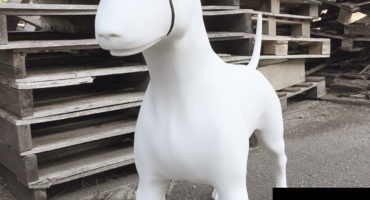 Cani in Polistirolo Poliart EPS